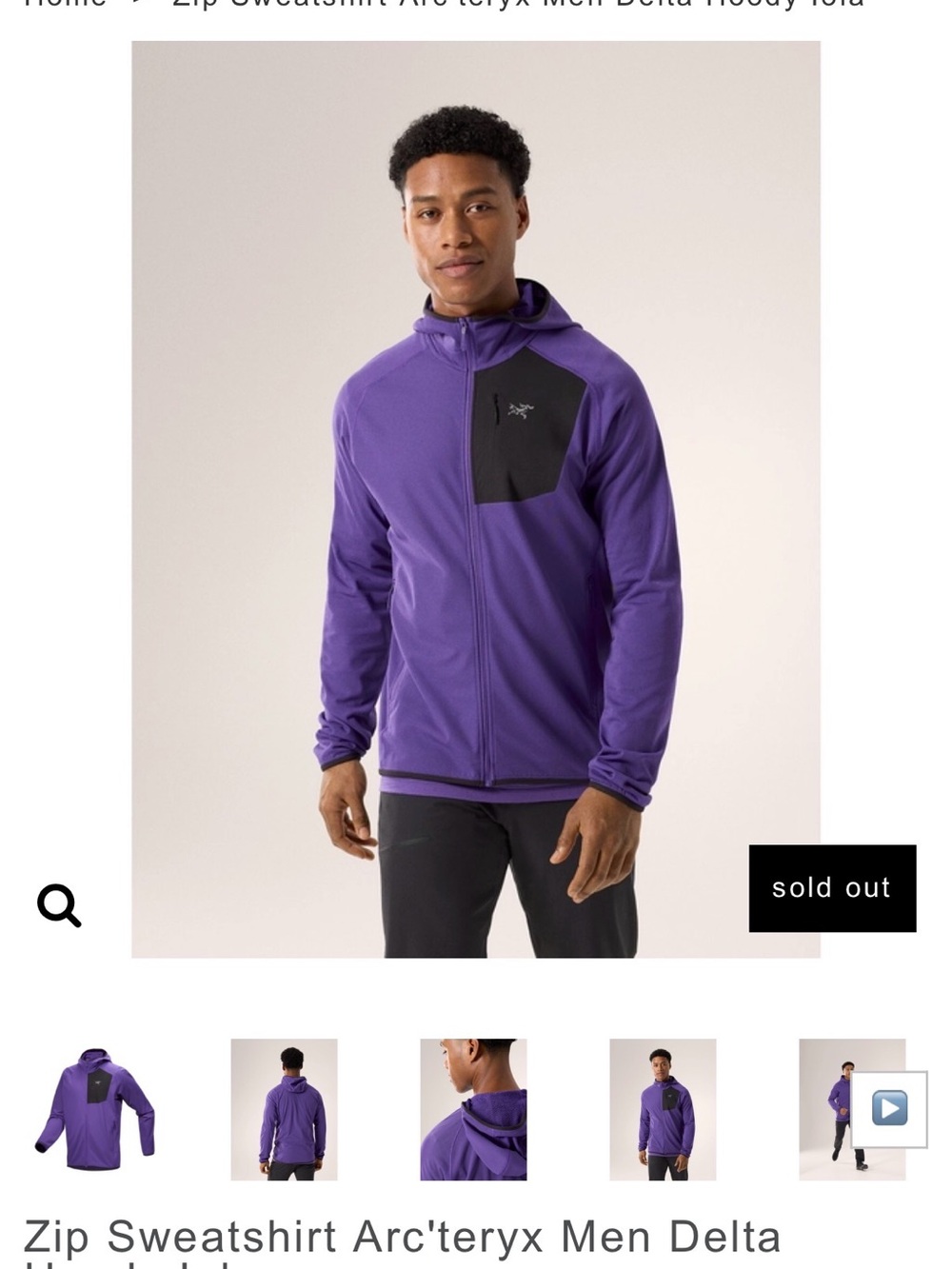 Arc'teryx Delta Hoody Men's Sweatshirt - Iola / Purple
